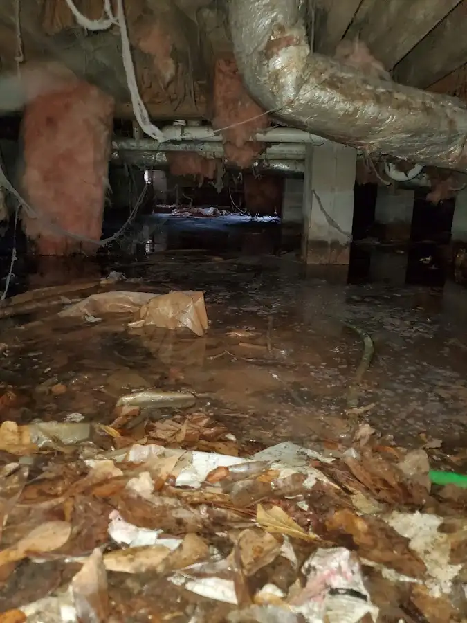 Crawl space flood assessment for Leak Detection & Repair in Palos Heights