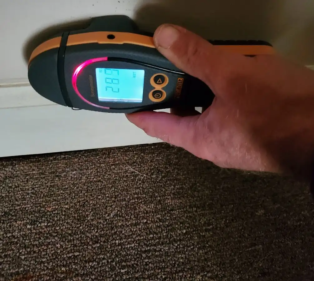 Moisture detection at baseboard during Mold Inspection & Testing in Palos Heights